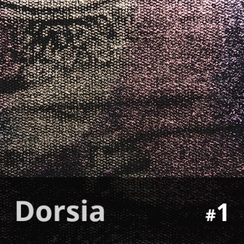 Dorsia 1